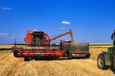 La fabrication du pain - Du grain de blé à la moisson - extrait
